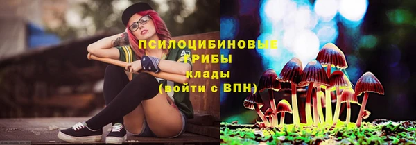 индика Абдулино