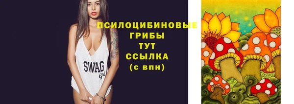 индика Абдулино