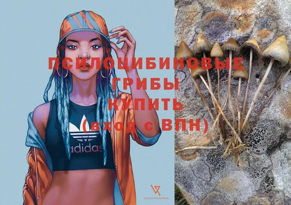мет Абаза