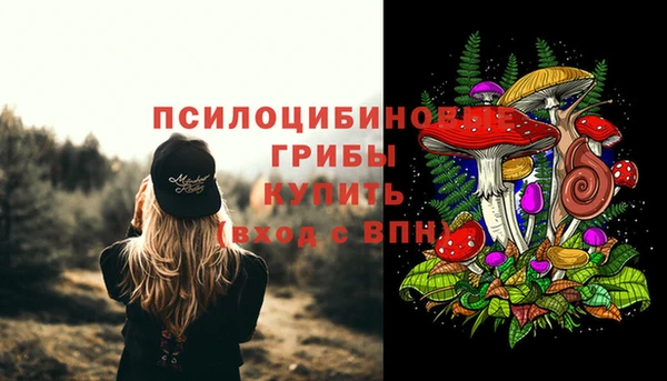 мет Абаза