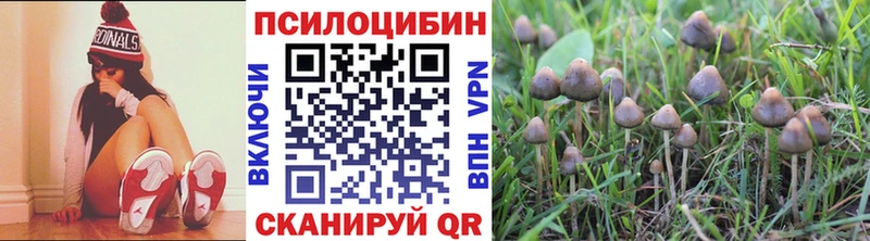 Псилоцибиновые грибы ЛСД  Шарья 